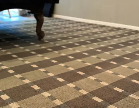 House Carpet Cleaning Costs