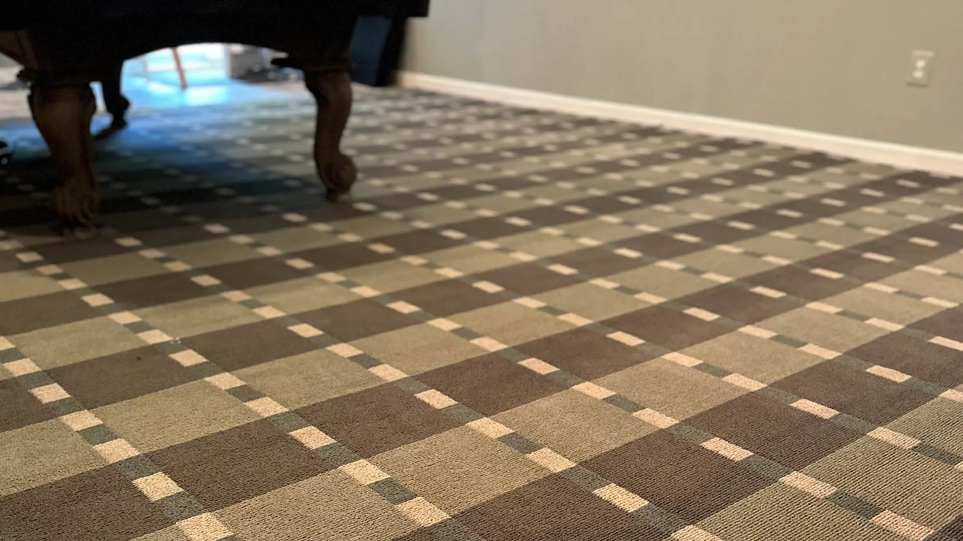 House Carpet Cleaning Costs